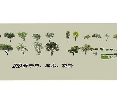 乔木 景观树 住宅景观树 2D植物 3D植物