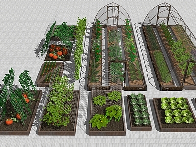 水果蔬菜 农田大棚蔬菜地 菜园菜地田地