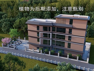 现代乡村民房 现代自建房