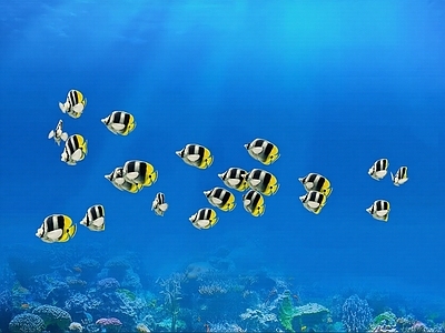 鱼群动画 鱼群