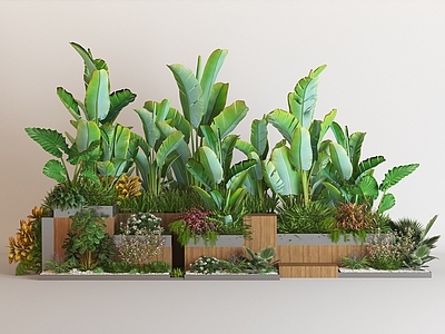 植物堆 现代植物景观造景 植物堆植物组合 热带植物灌木花草 景观绿植 花坛