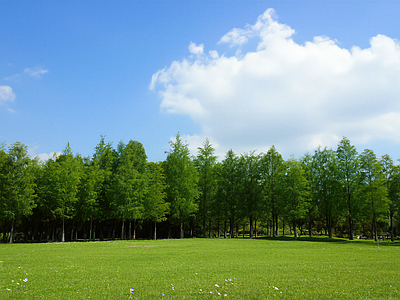 现代其它外景 公园外景