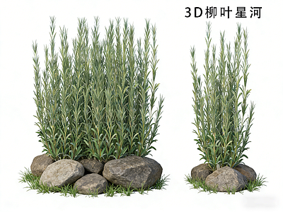 花草 柳叶星河 茼蒿 花境 观赏草 蓝色系植物