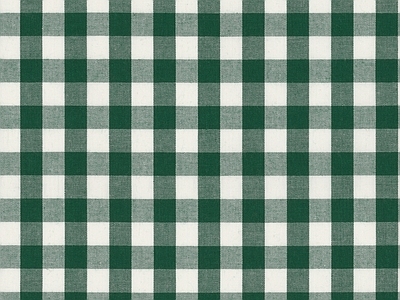 现代其它布纹 布纹 格子布纹