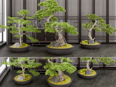 盆栽 新中式盆景松树 盆栽罗汉松组合 盆景罗汉松 盆栽绿植盆景 室内盆栽松树摆件