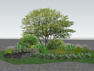 2D植物组合 花镜乔灌草组团 组团 市政绿化节点 室内组团
