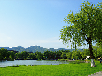 现代其它外景 公园外景