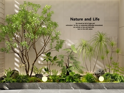 现代室内景观 景观造景 景观树 庭院景观 植物造景 植物堆