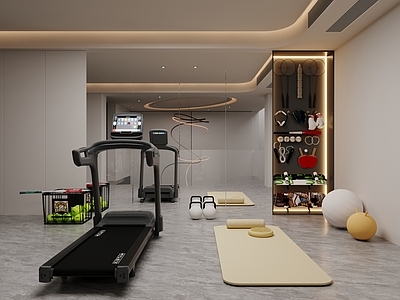 现代极简健身房 地下室 家庭健身房