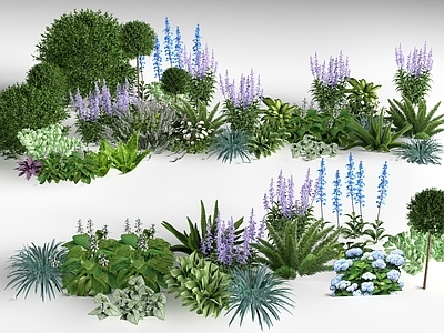 花 现代景观植物 灌木 花丛