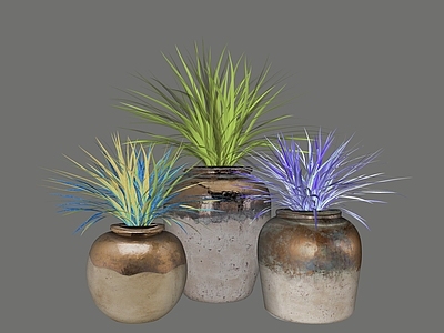 盆栽 盆栽 陶罐 绿植