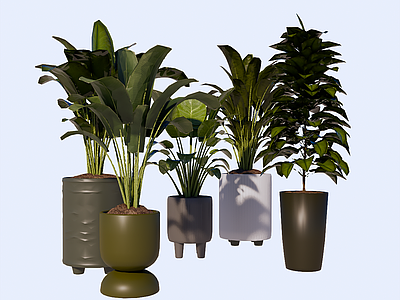 现代盆栽 植物绿植盆栽组合