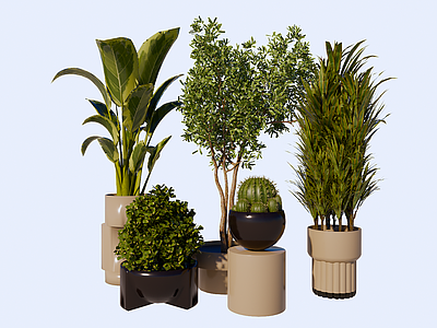 现代盆栽 植物绿植盆栽组合
