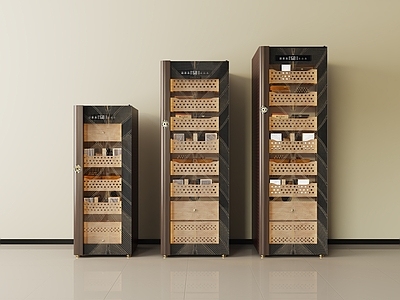现代烟酒店 雪茄柜 恒温恒湿柜 智能控制恒温柜 烟柜酒柜 茶叶柜