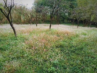 现代其它外景 现代