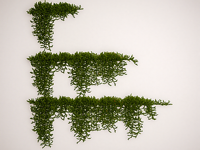 藤蔓 藤曼 植物墙