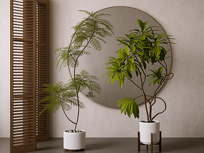 盆栽 植物盆栽组合