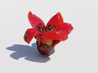 现代新中式花艺 木棉花 装饰 琉璃 花瓣 红棉