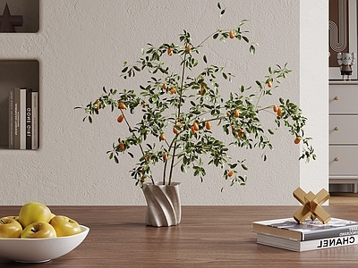 其他绿植 花艺 餐桌摆件 插花 茶几摆件