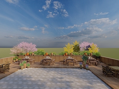 新中式乡村庭院 乡村院落1