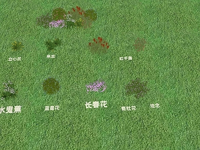 花草 花境 花草
