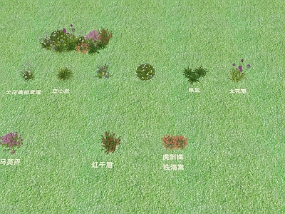 花草 花境 花草 植物