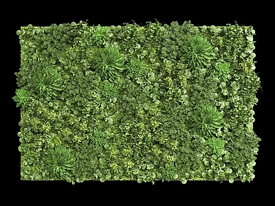 现代背景墙 植物墙 植物背景墙 植物装饰墙 绿植墙 绿植