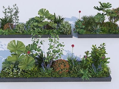 植物堆 现代植物组合 景观花坛