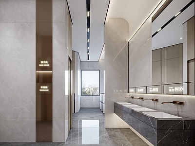 现代公共卫生间 卫生间 男卫 女卫 手盆区 镜柜