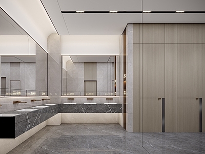 现代公共卫生间 卫生间 女卫 卫生间标识