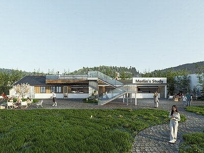 现代新中式风格建筑 庭院建筑 上房揭瓦屋顶花园 咖啡书屋