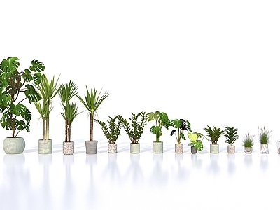 现代简约盆栽 植物组合 绿植 盆栽