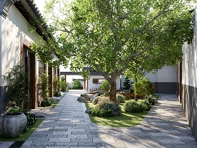 新中式庭院 徽派建筑 水景 水景墙 庭院