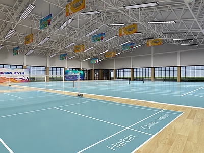 现代简约体育馆