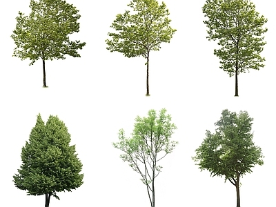 现代其它HDR 免抠植物树木 树木乔木
