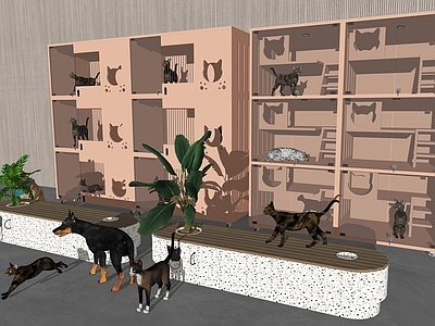 猫爬架 宠物柜宠物箱组 猫爬架宠物用品 宠物售卖柜