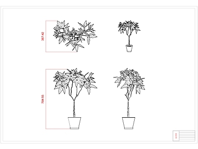 现代绿植 绿植 植物盆栽树 树 三视图 施工图
