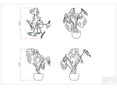 现代绿植 盆栽 植物 龟背树 三视图 施工图