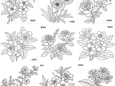 现代花 花朵立面 施工图