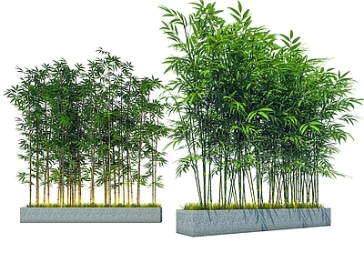 竹子 现代竹子 景观竹 仿真竹子 园艺竹子