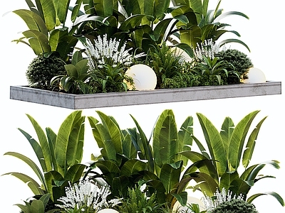 现代简约植物堆 现代绿植池 绿植 热带植物 景观绿植 花池