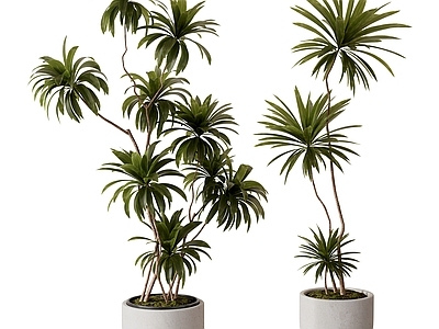 现代简约盆栽 现代盆栽 盆景 绿植 花盆花卉 绿植摆件