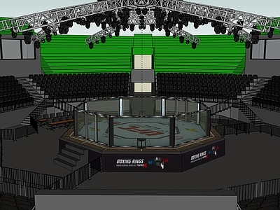 现代其他球场 UFC 拳击场地