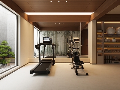 新中式健身房