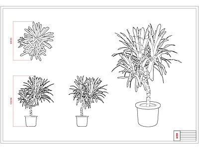 现代绿植 绿植 植物 盆栽树 线条 贴图 施工图