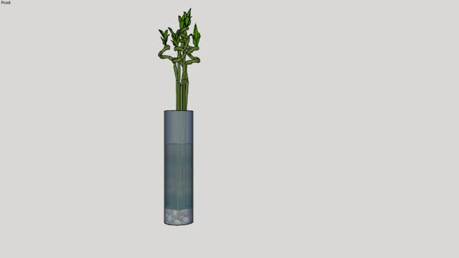 plant in a vase，plant，full，bamboo，Dracaa，戏剧，，， 其他 牙刷 棍