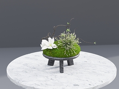 禅意侘寂花艺 苔藓花艺