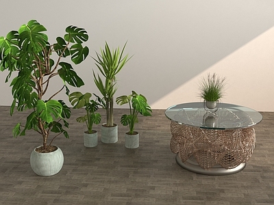 现代简约盆栽 绿植 茶几