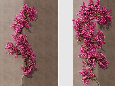 现代简约藤蔓 植物墙饰 转角花艺