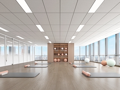 现代简约瑜伽室